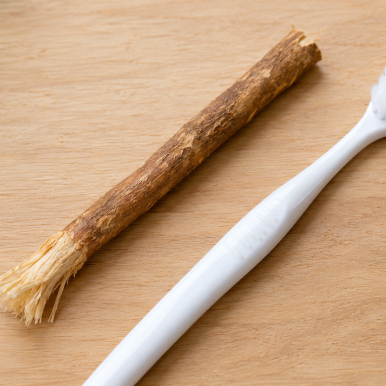 Miswak and toothbrush side by side for comparison.